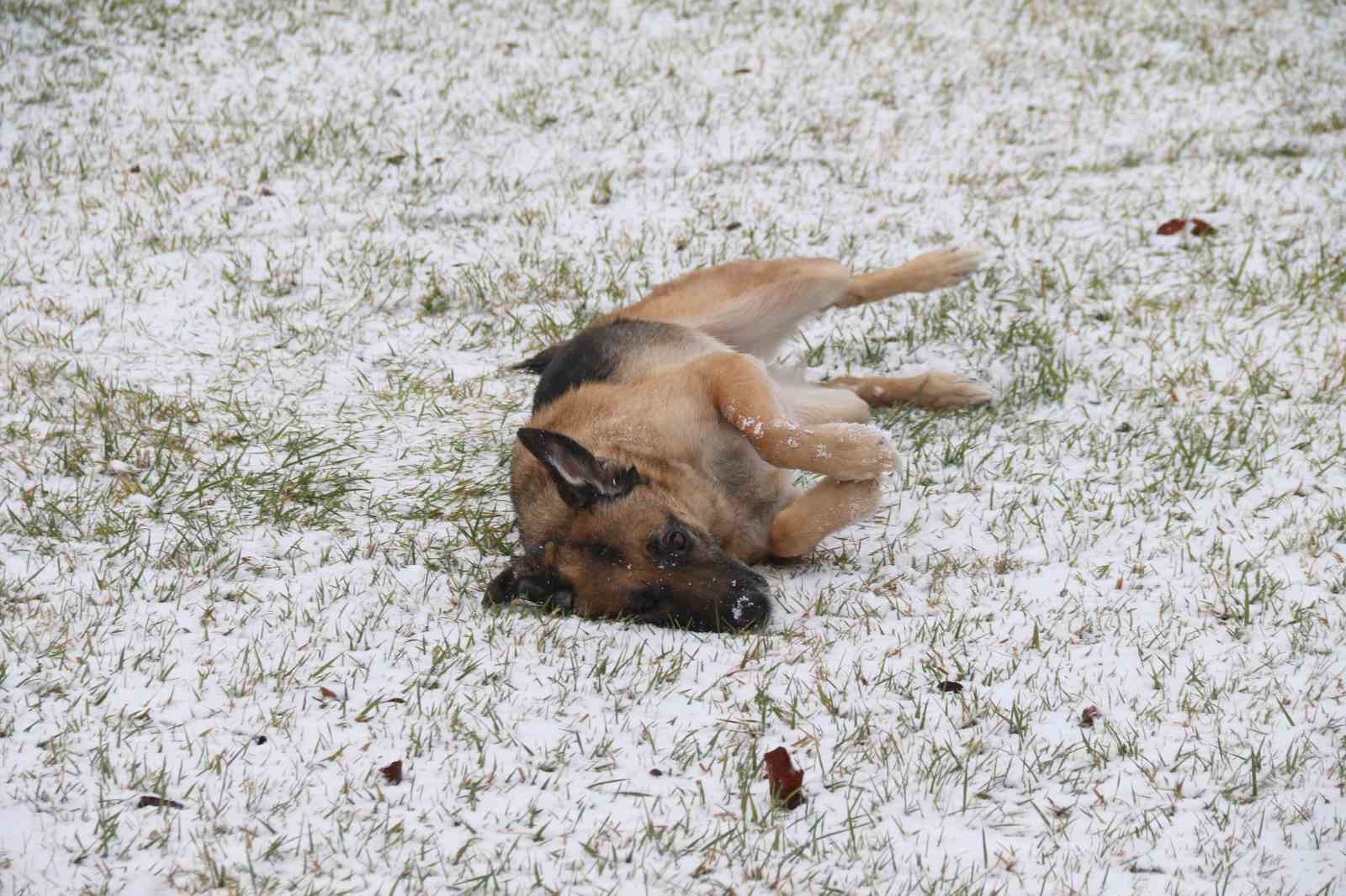 Yılın son karı Eskişehir’i beyaza bürüdü
