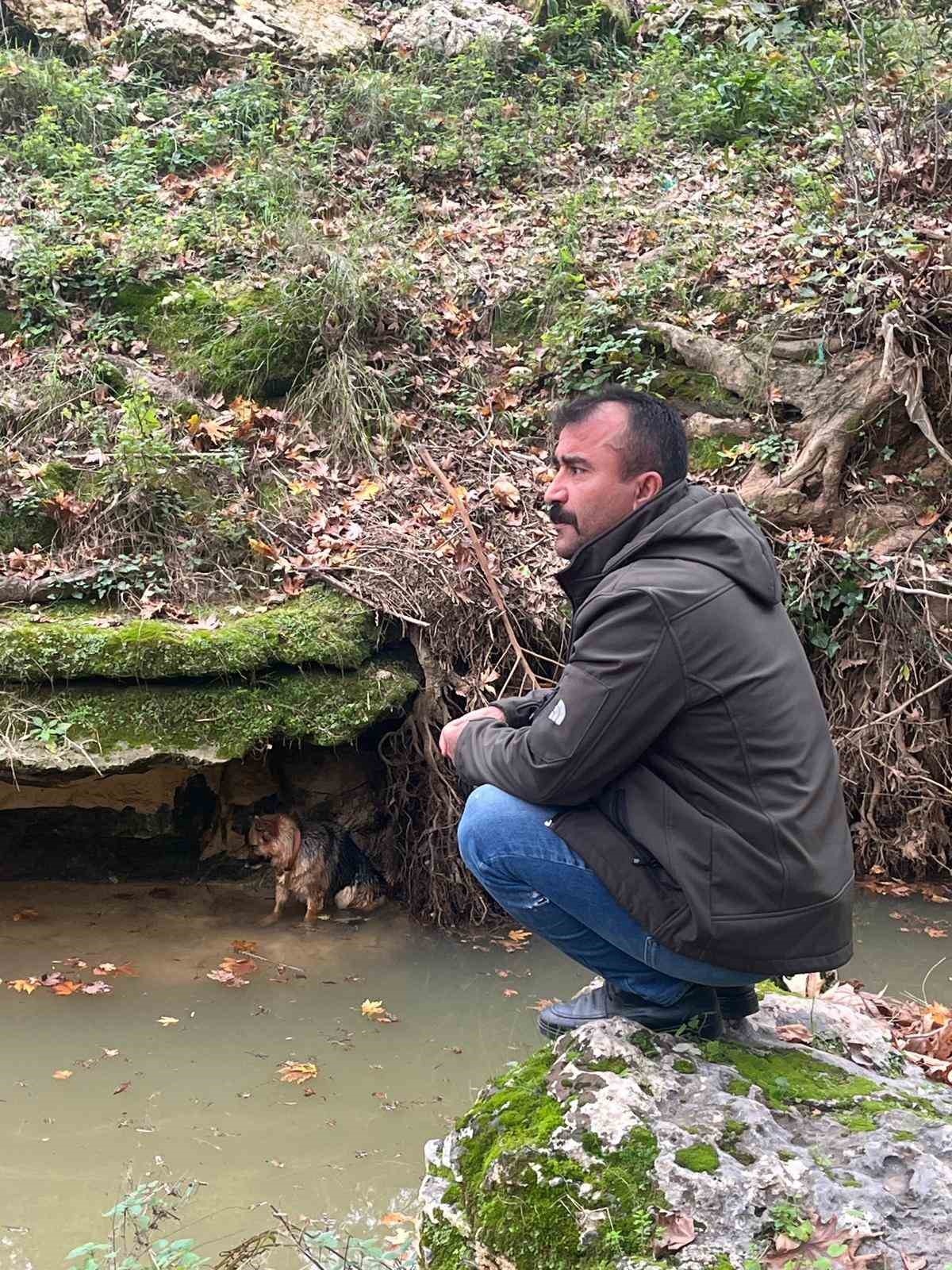 Dereye d&uuml;şen k&ouml;pek duyarlı vatandaş sayesinde kurtarıldı
