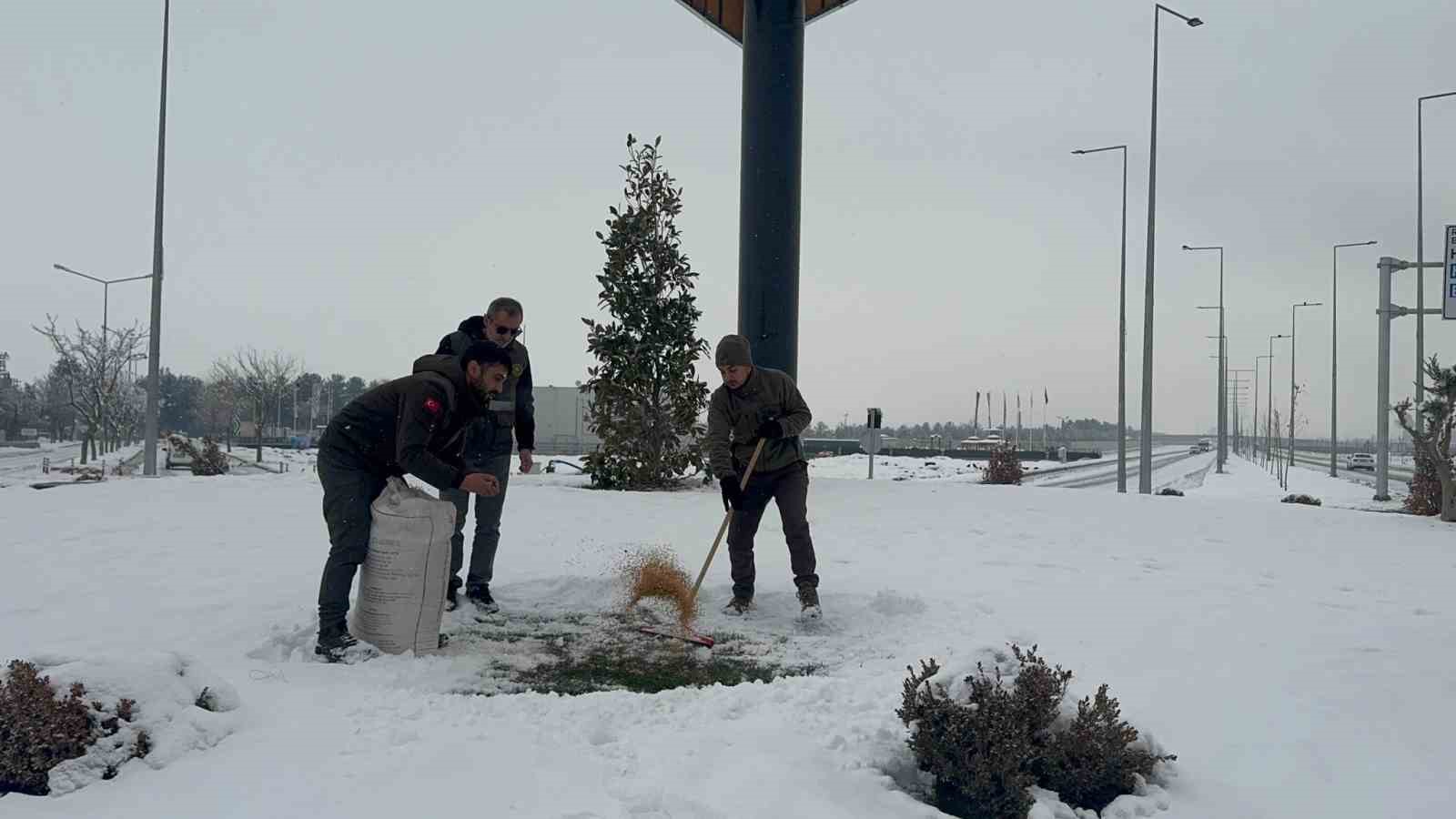 Batman&rsquo;da yaban hayvanları i&ccedil;in doğaya yem bırakıldı

