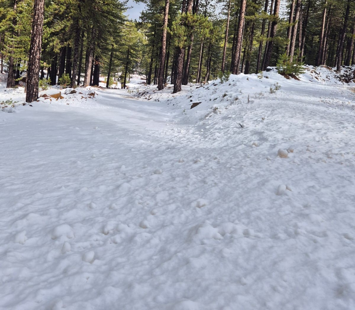 Köyceğiz Sandras Dağı karla kaplandı