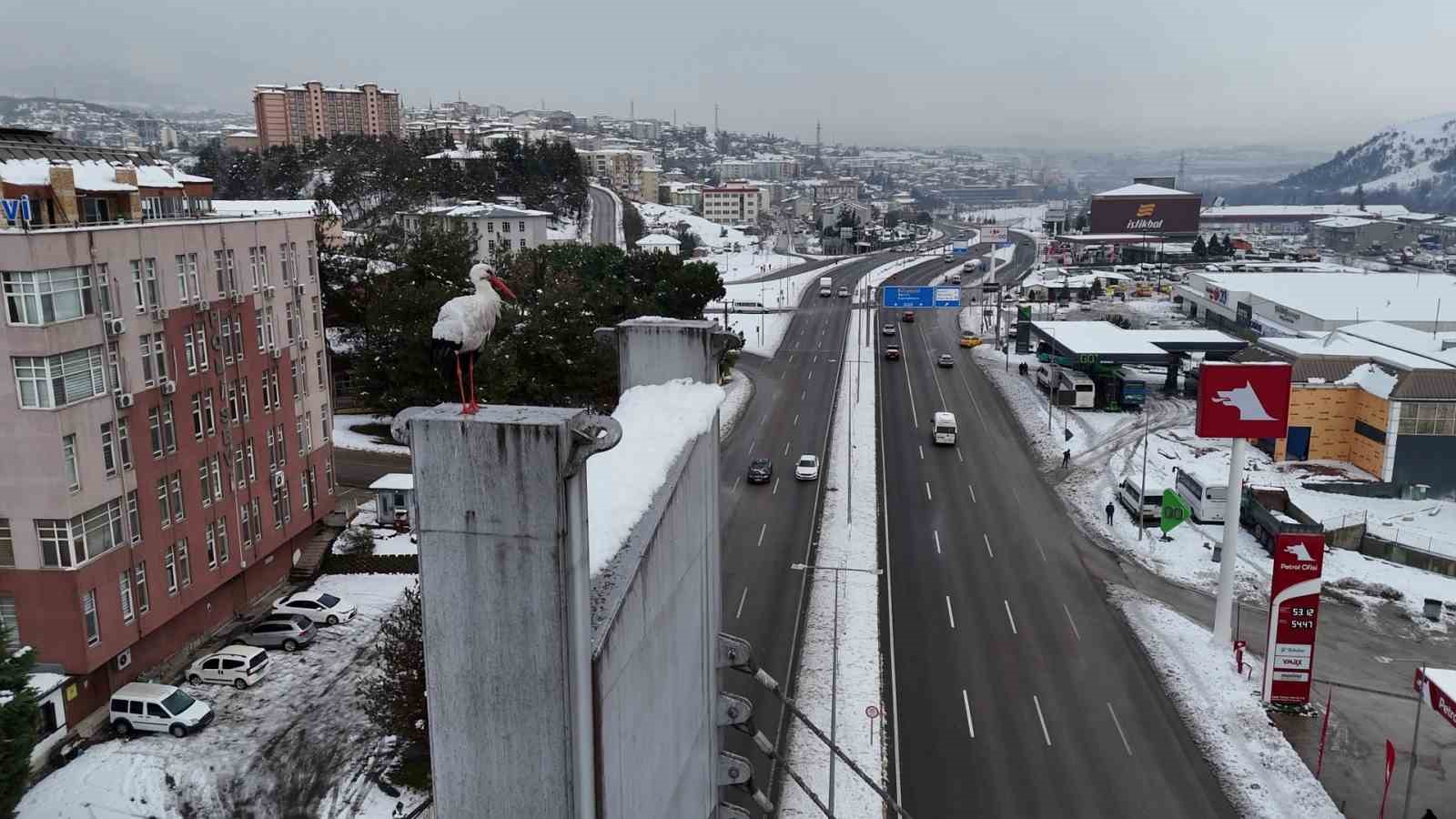Karab&uuml;k&rsquo;&uuml;n simgesi haline gelen leylek dronla g&ouml;r&uuml;nt&uuml;lendi
