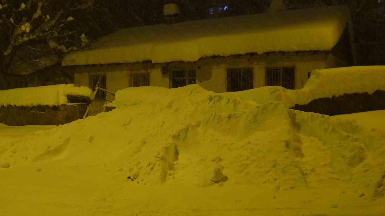 Yoğun kar ve tipi Bitlis&rsquo;te hayatı olumsuz etkiledi
