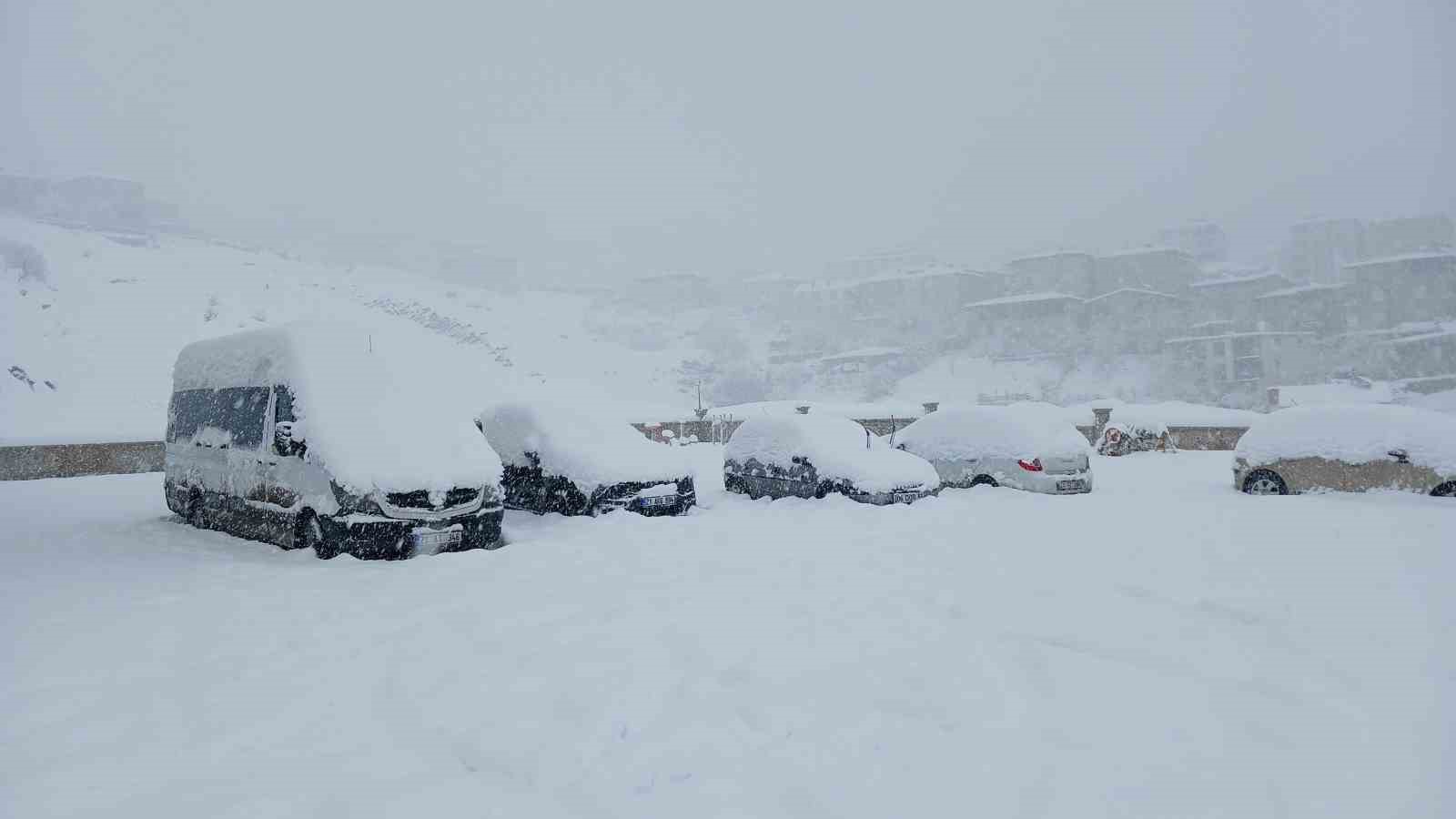 Kulp’ta 10 yılın en yoğun kar yağışı: Araçlar kar altında kaldı
