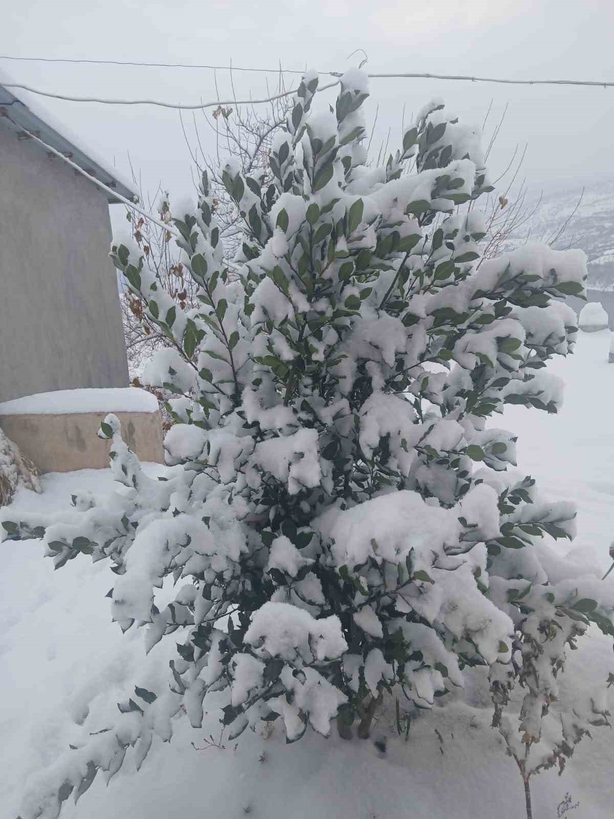 Pütürge’de kartpostallık görüntüler