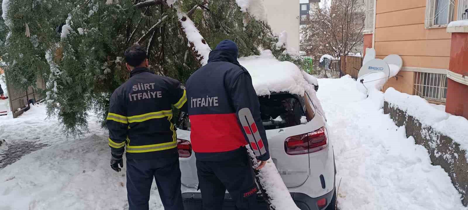Siirt’te karın ağırlığına dayanamayan çam ağacı otomobilin üzerine devrildi
