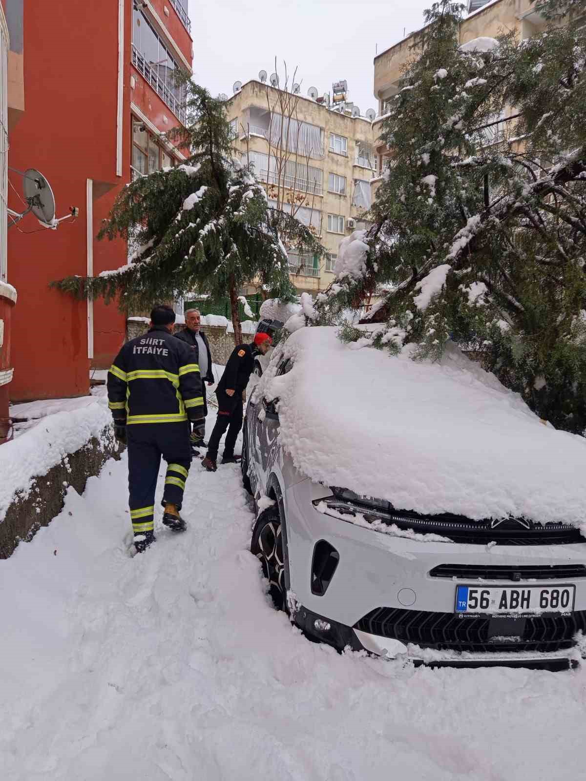 Siirt&rsquo;te karın ağırlığına dayanamayan &ccedil;am ağacı otomobilin &uuml;zerine devrildi
