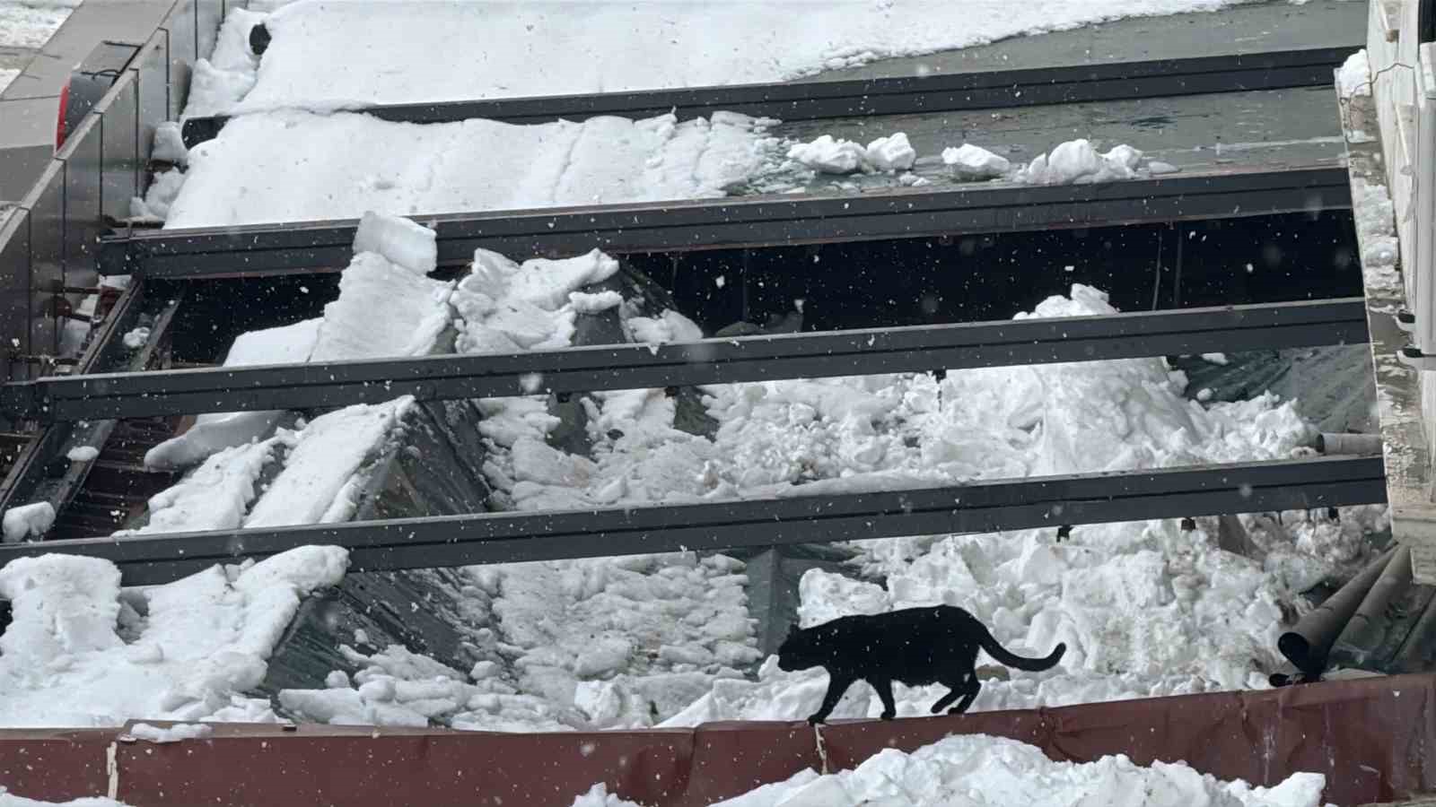 Kar birikintisi zincir marketin &ccedil;atısını &ccedil;&ouml;kertti
