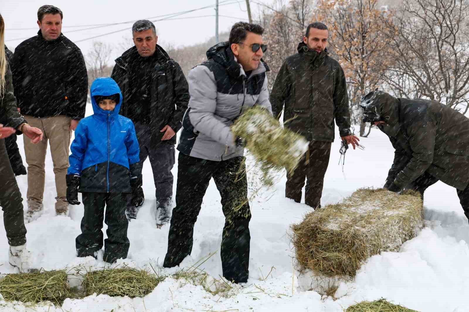Vali Ayg&ouml;l, yaban hayvanları i&ccedil;in kolları sıvadı
