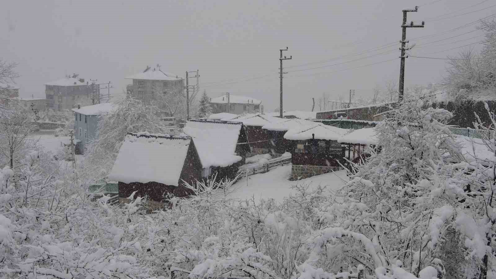 Ordu’da yeni yılın ilk kar yağışı etkili oldu