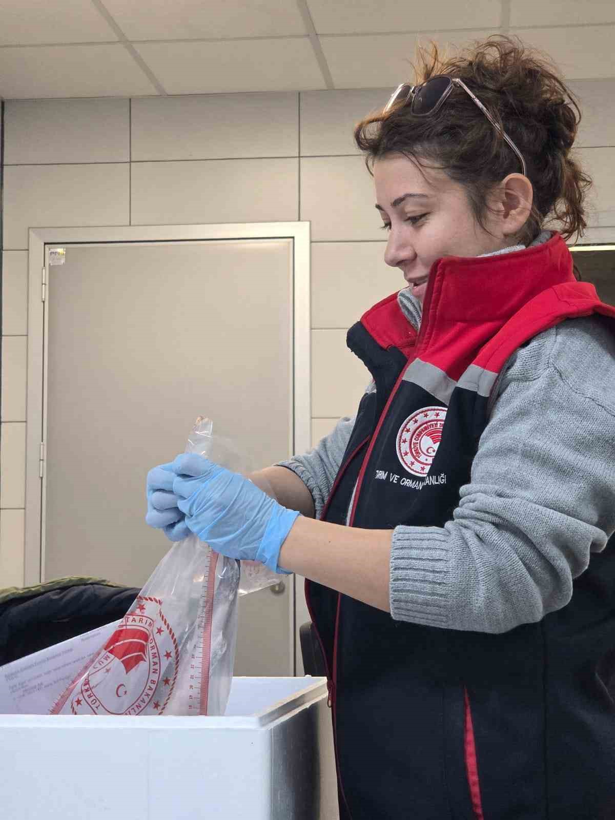 S&ouml;ke&rsquo;de 2025 yılında 2 bin 507 işletme denetlendi
