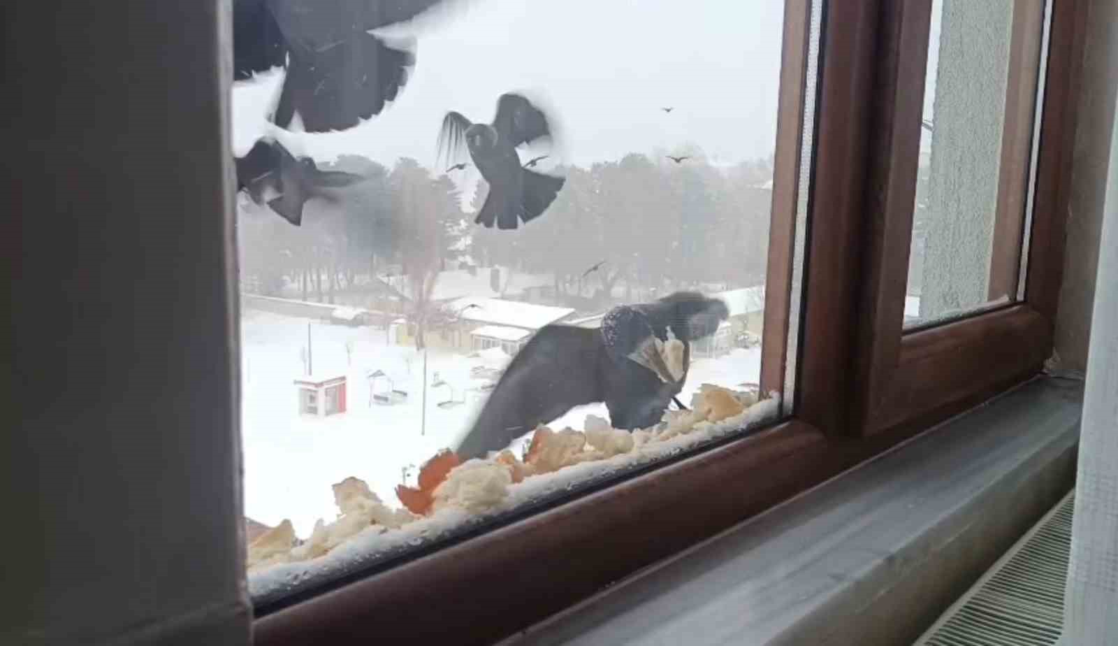 Tatvan’da yürekleri ısıtan davranış