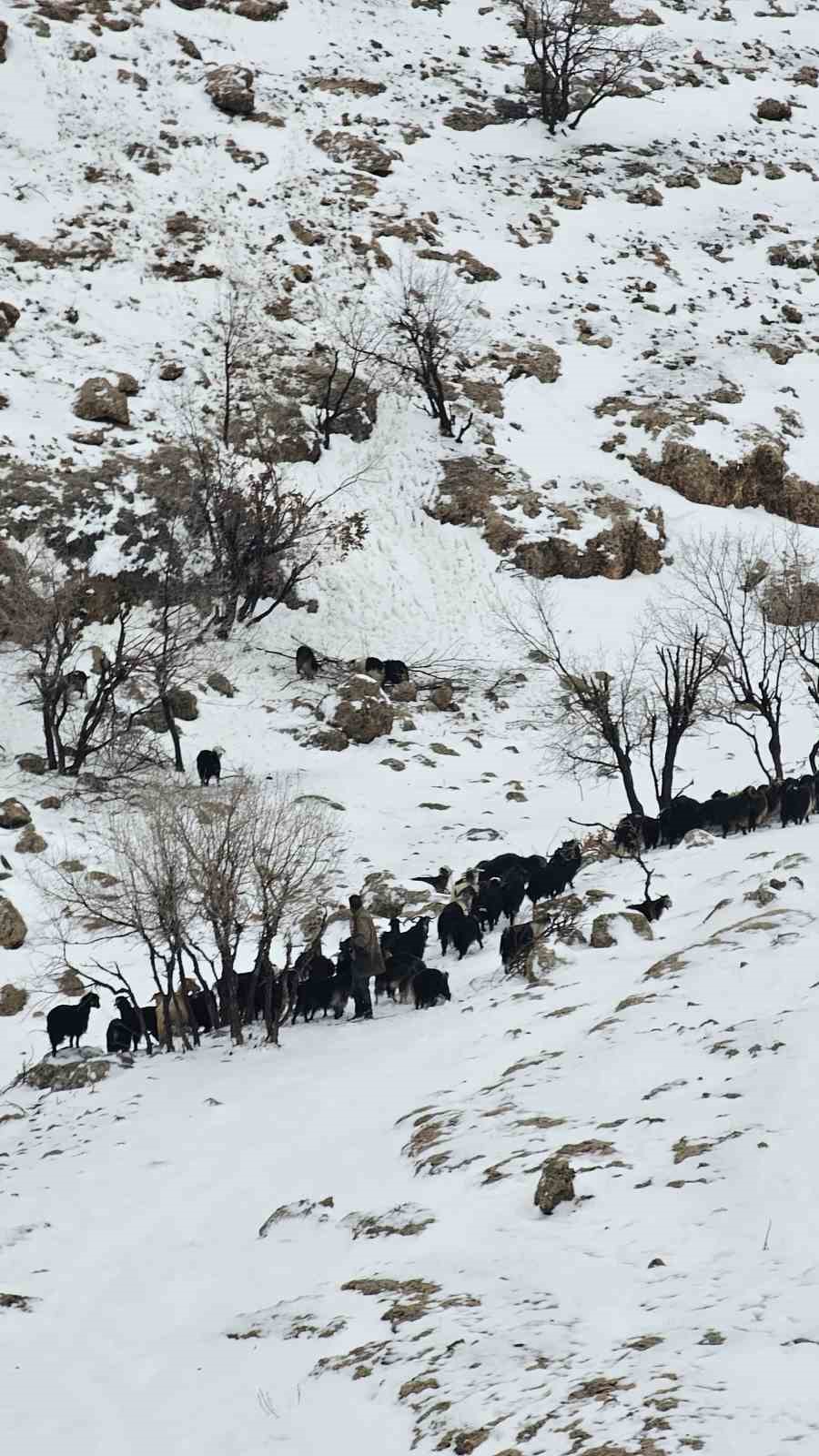 Mardin’de kar ve tipi altında mahsur kalan çoban kurtarıldı
