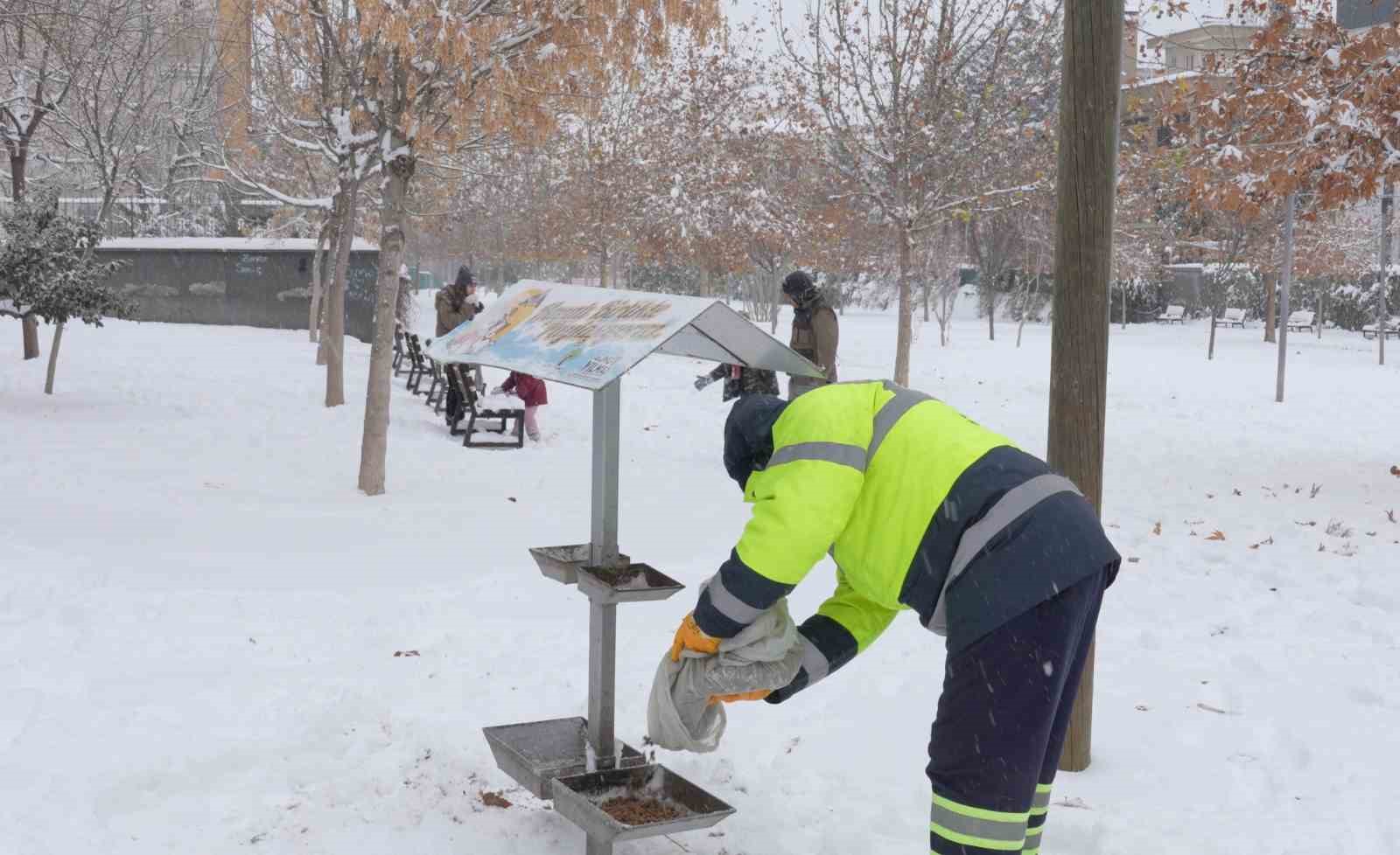 Şehitkamil sokak hayvanlarını unutmadı
