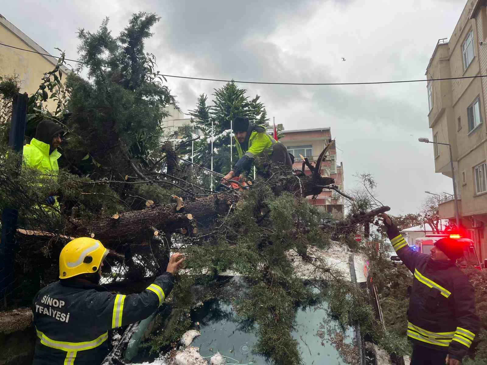 K&ouml;k&uuml;nden s&ouml;k&uuml;len ağa&ccedil; park halindeki aracın &uuml;zerine devrildi

