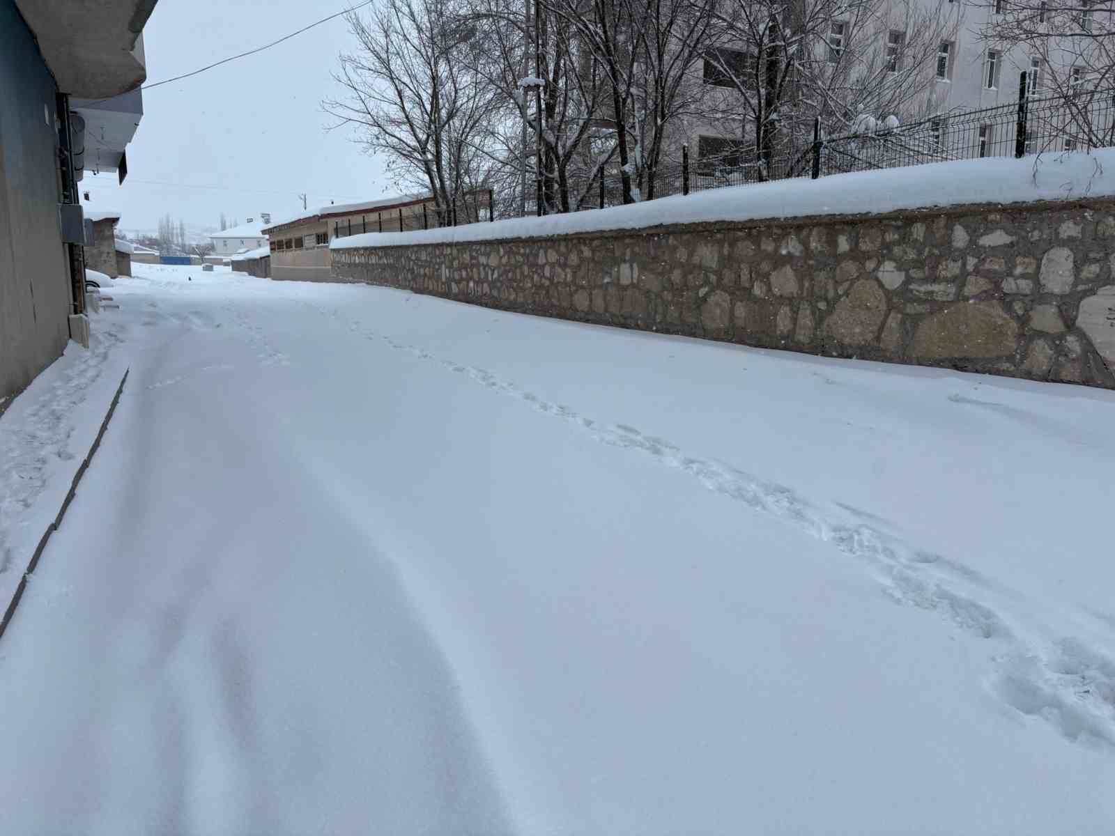 Diyadin’de yoğun kar yağışı hayatı olumsuz etkiliyor