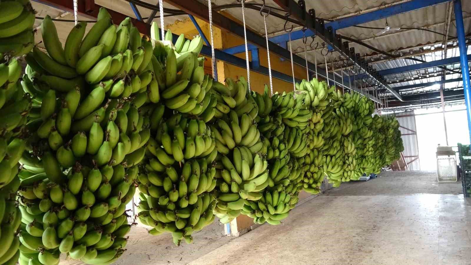 Antalya Ticaret Borsası, aralık ayı hal endeksini a&ccedil;ıkladı: "Meyvede fiyat arttı, sebzede geriledi"
