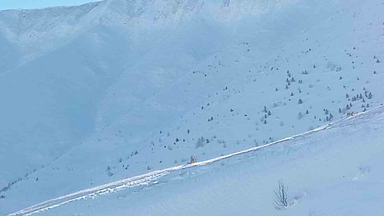 Artvin’de çığ faciasındaki kayıp çoban için arama çalışmaları üçüncü gününde yeniden başladı