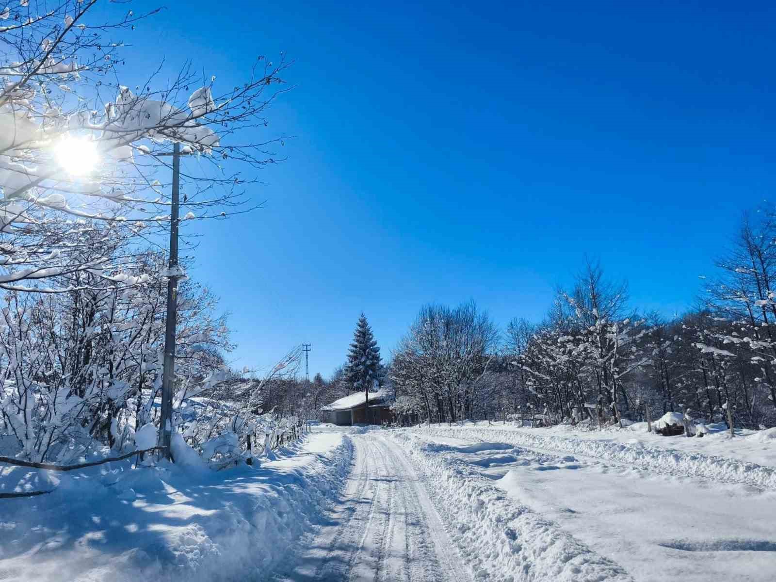 Ordu’nun yüksek kesimlerinde kar manzarası