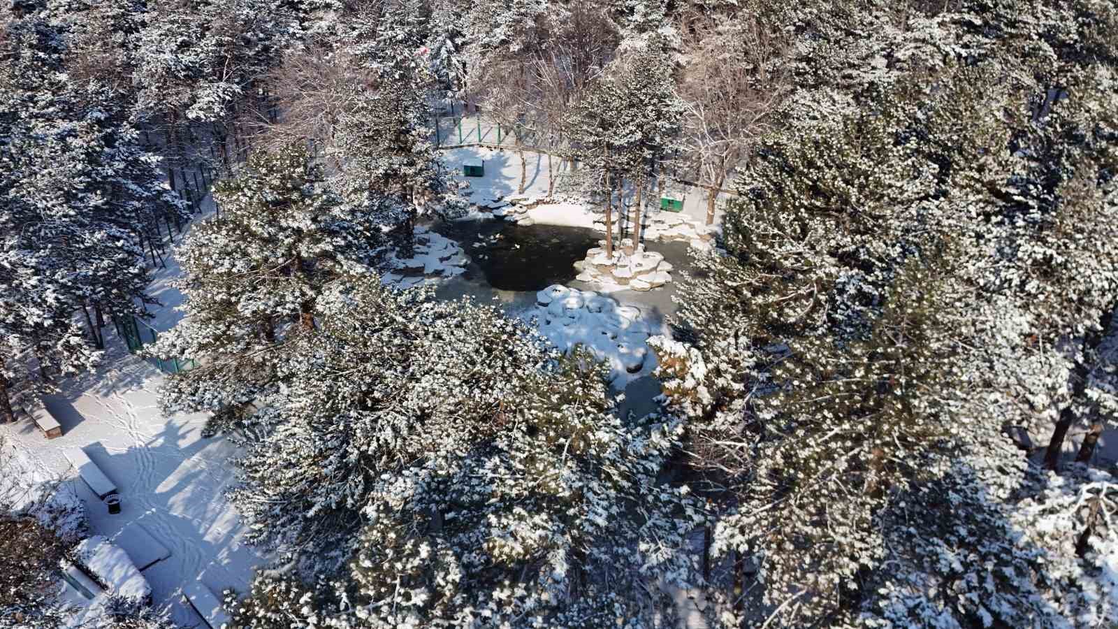 Kayseri buz tuttu: Termometreler eksi 14&rsquo;&uuml; g&ouml;sterdi
