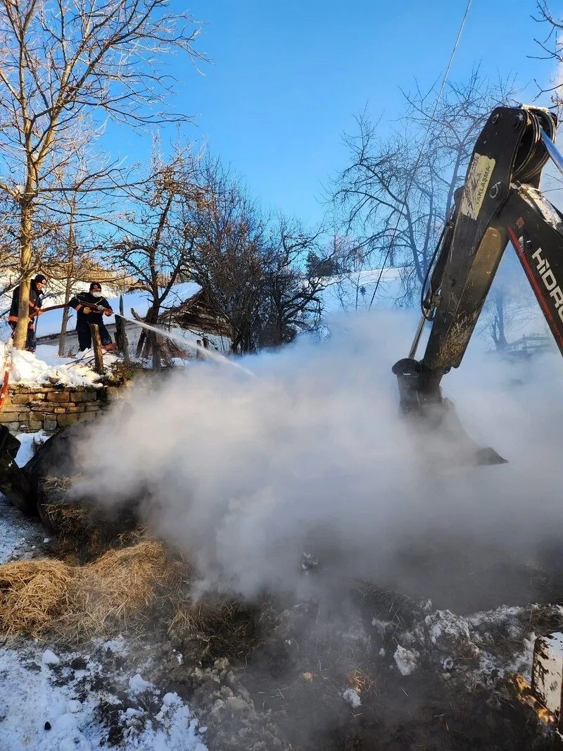 Sinop’ta ahır yangını: 9 büyükbaş hayvan telef oldu
