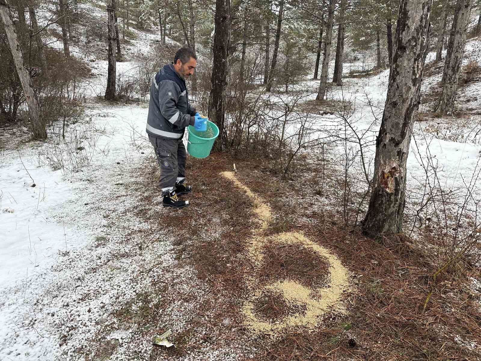 Çorum Belediyesi yaban hayvanlarını unutmadı