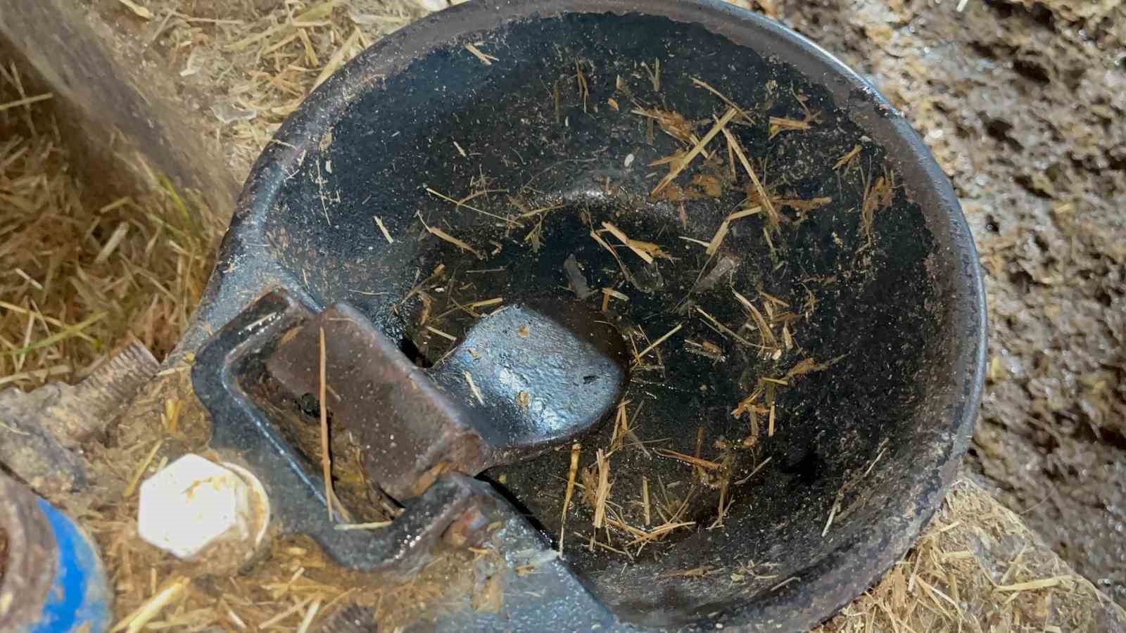 Besiciler donan su şebeklerini a&ccedil;mak i&ccedil;in uğraşıyor
