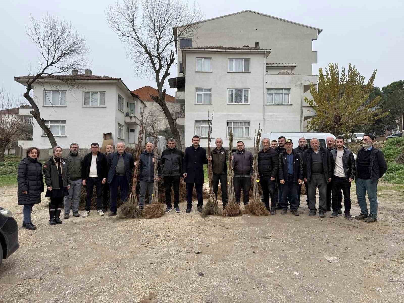 Bilecik’te çiftçilere meyve fidanı desteği