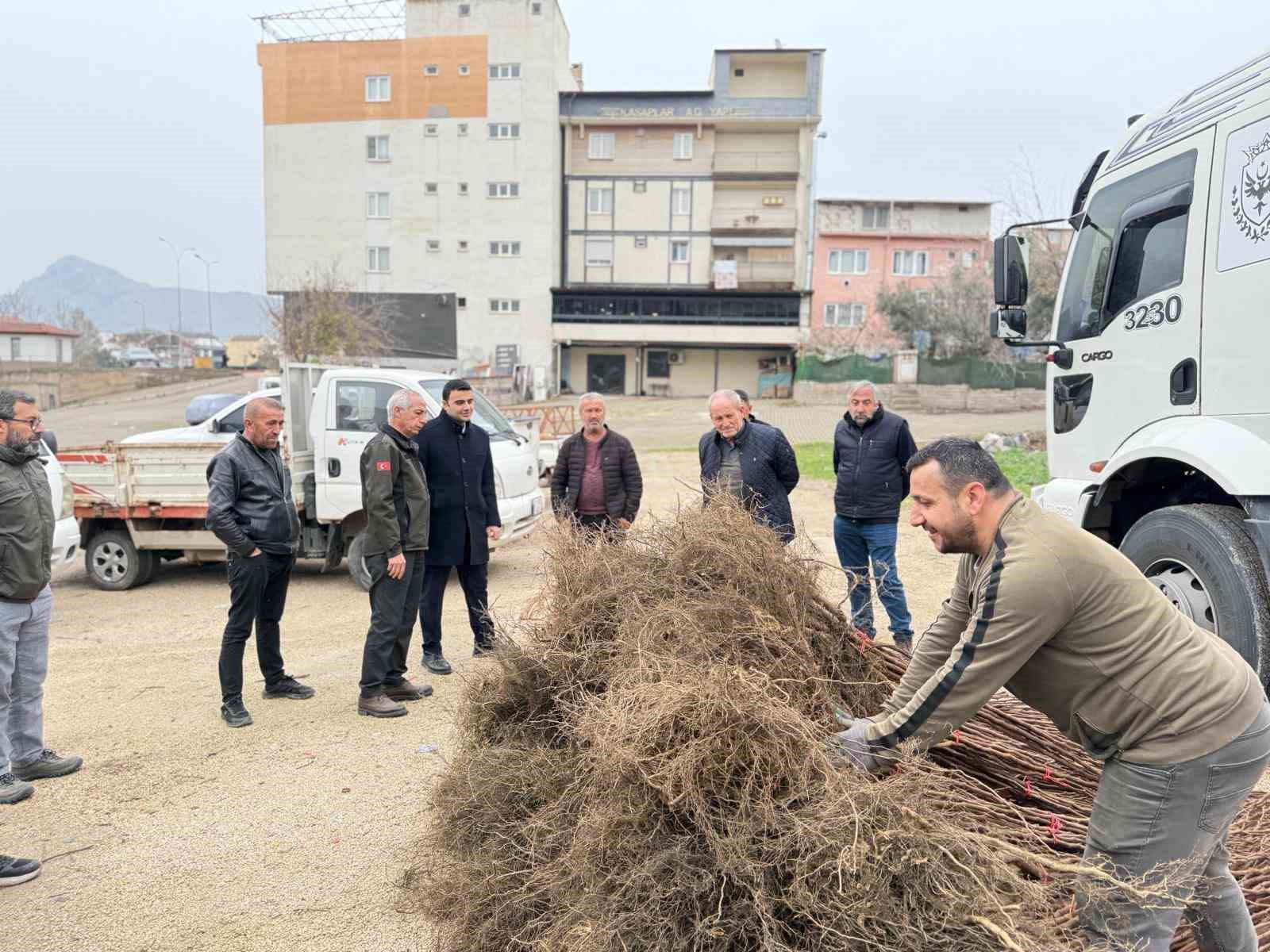 Bilecik’te çiftçilere meyve fidanı desteği