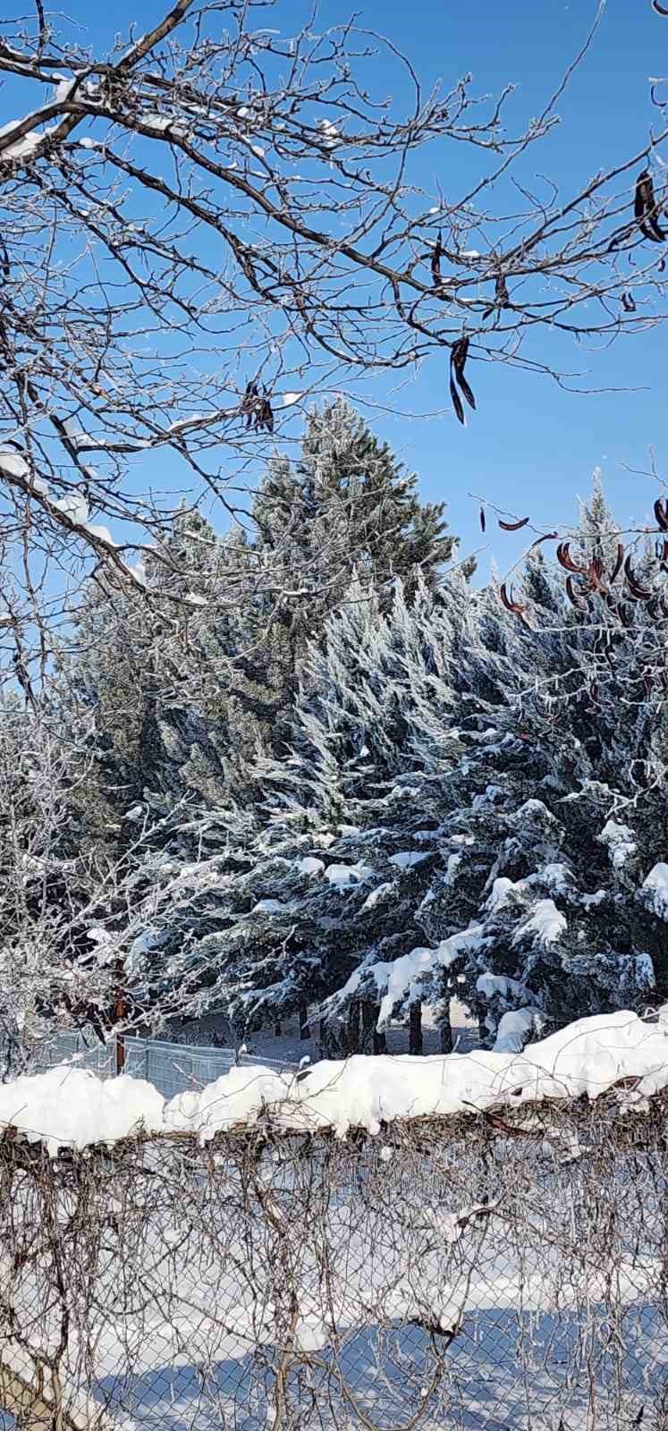 Elazığ’da dondurucu soğuklar: Karakoçan’da termometreler -22’yi gösterdi