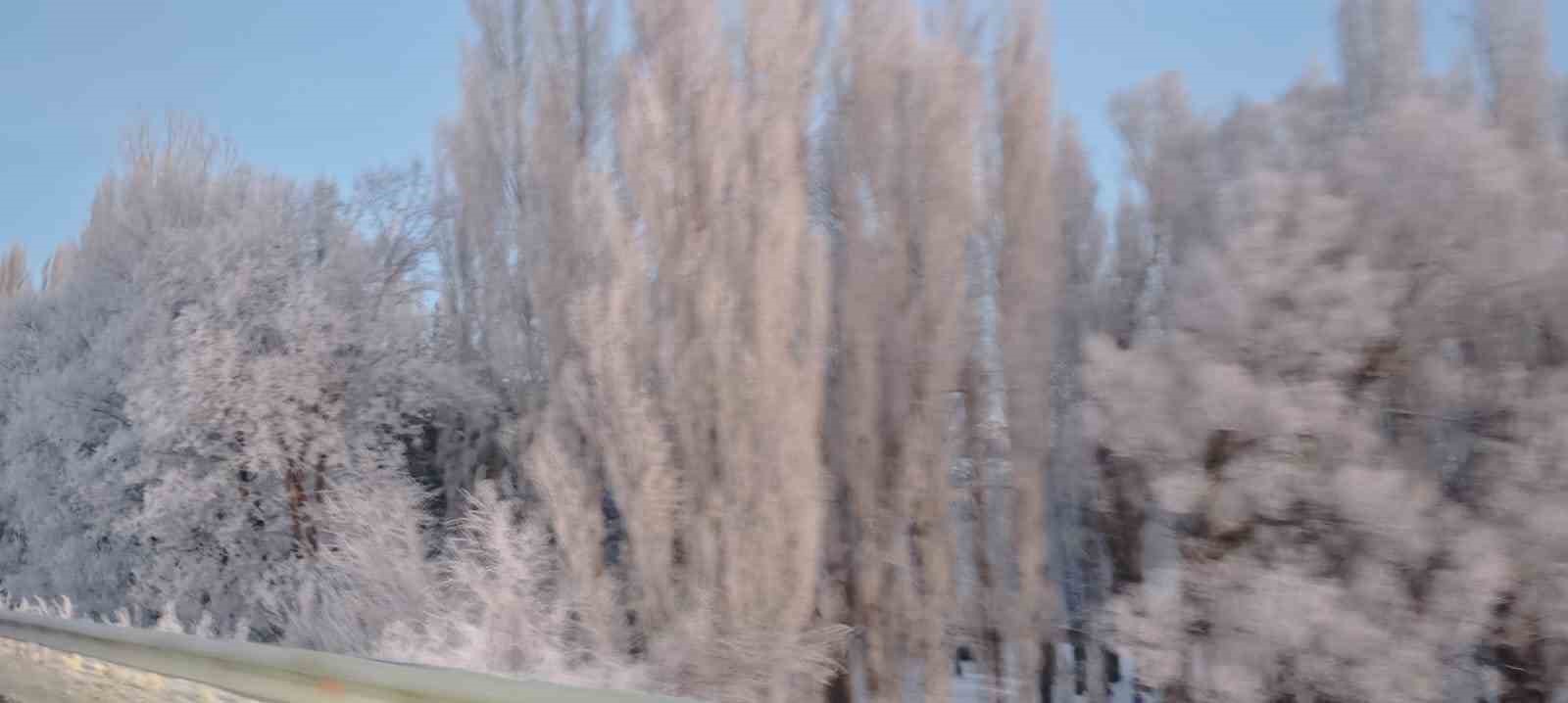 Aşkale’de Sibirya soğukları: Termometreler -30’u gösterdi