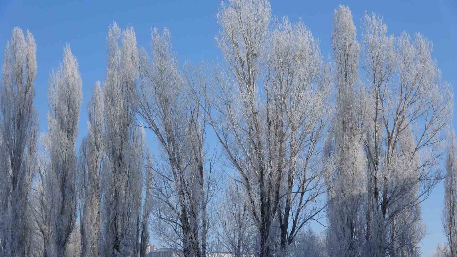 Ardahan dondu; Göle eksi 39,7’yi gördü
