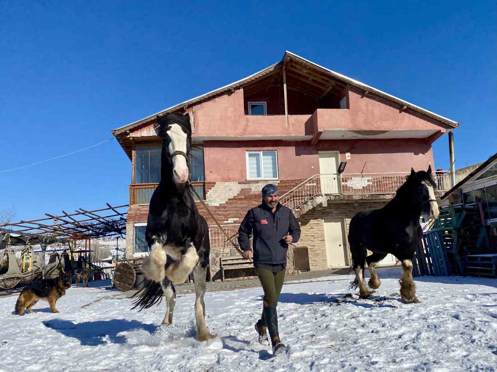 Ankara’da sıra dışı yaşam: Onlarca hayvanla ortak hayat kurdu