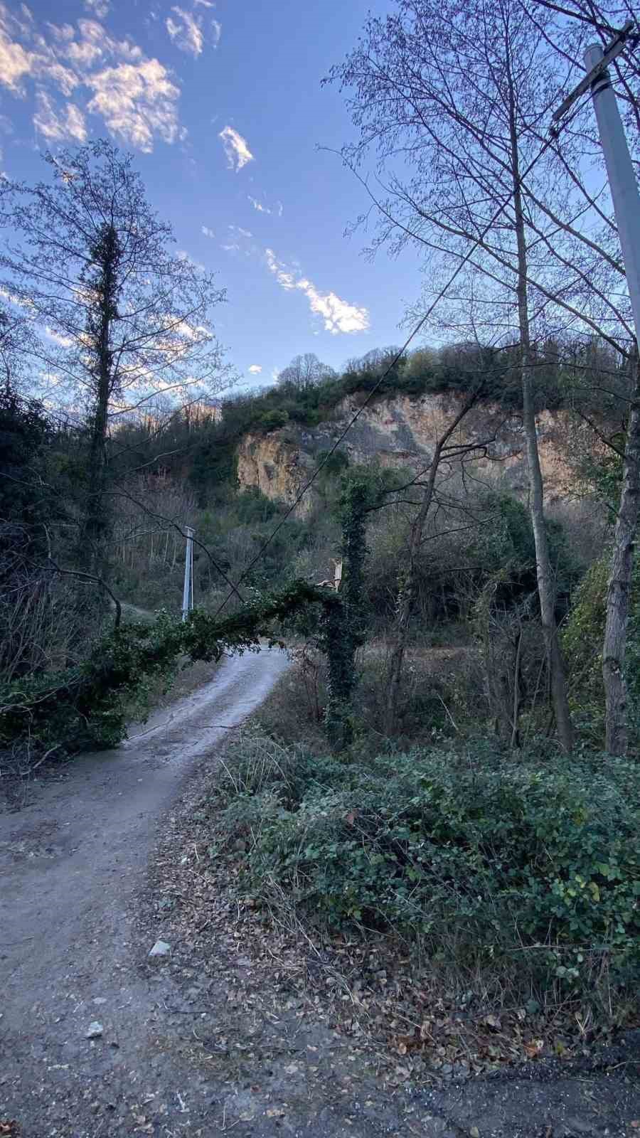 Şiddetli r&uuml;zgar hayatı olumsuz etkiledi, bazı ağa&ccedil;lar devrildi
