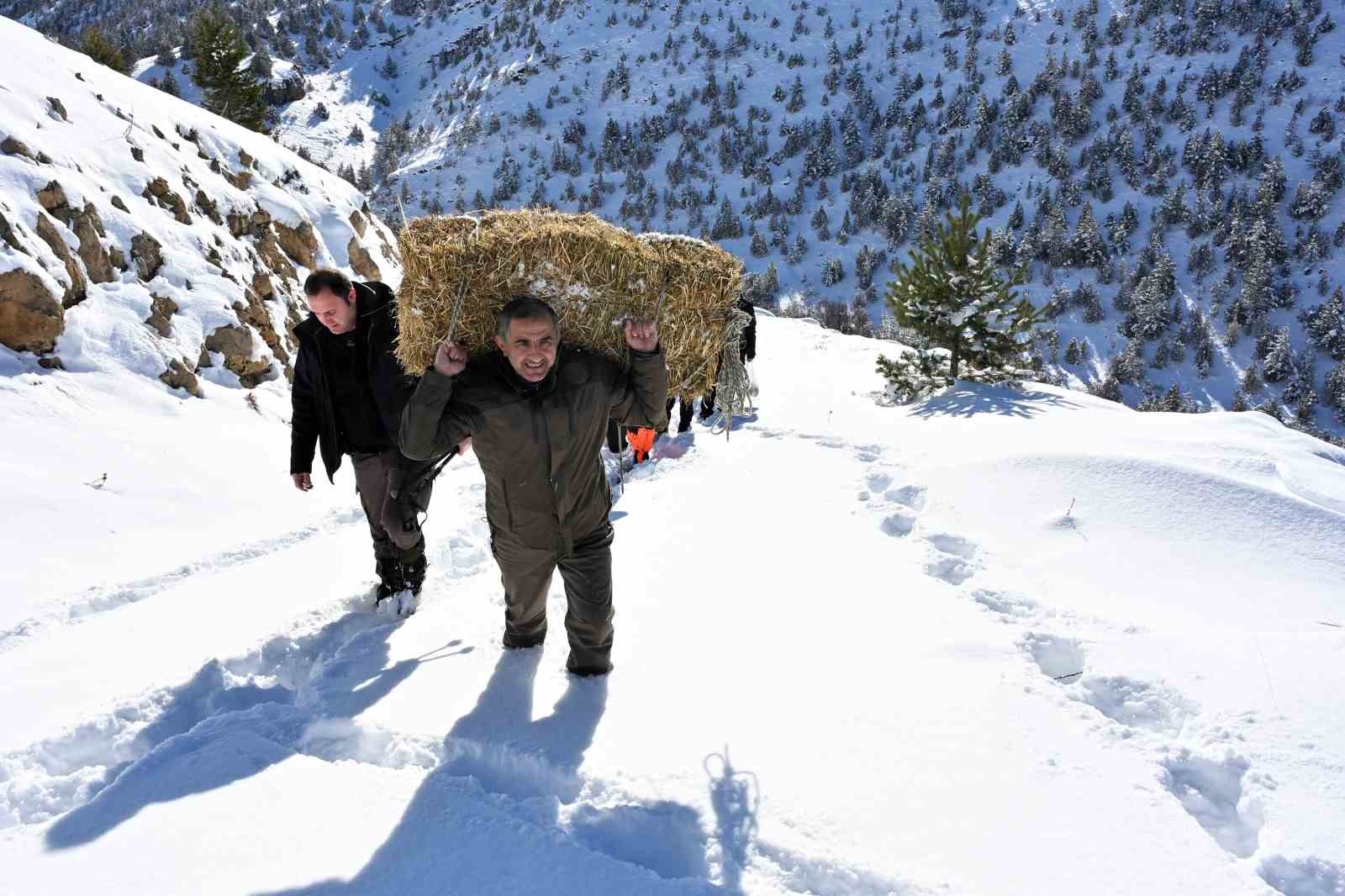 Gümüşhane’de aç kalan yaban hayvanları için seferberlik