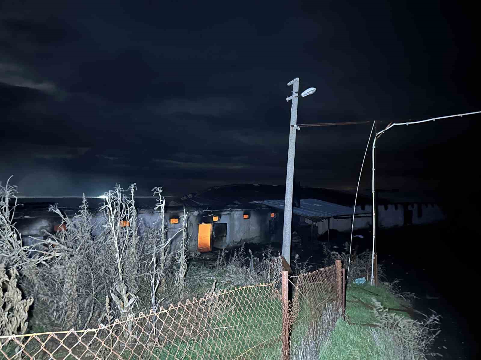 Uşak’ta boş tavuk çiftliğinde çıkan yangın korkuttu