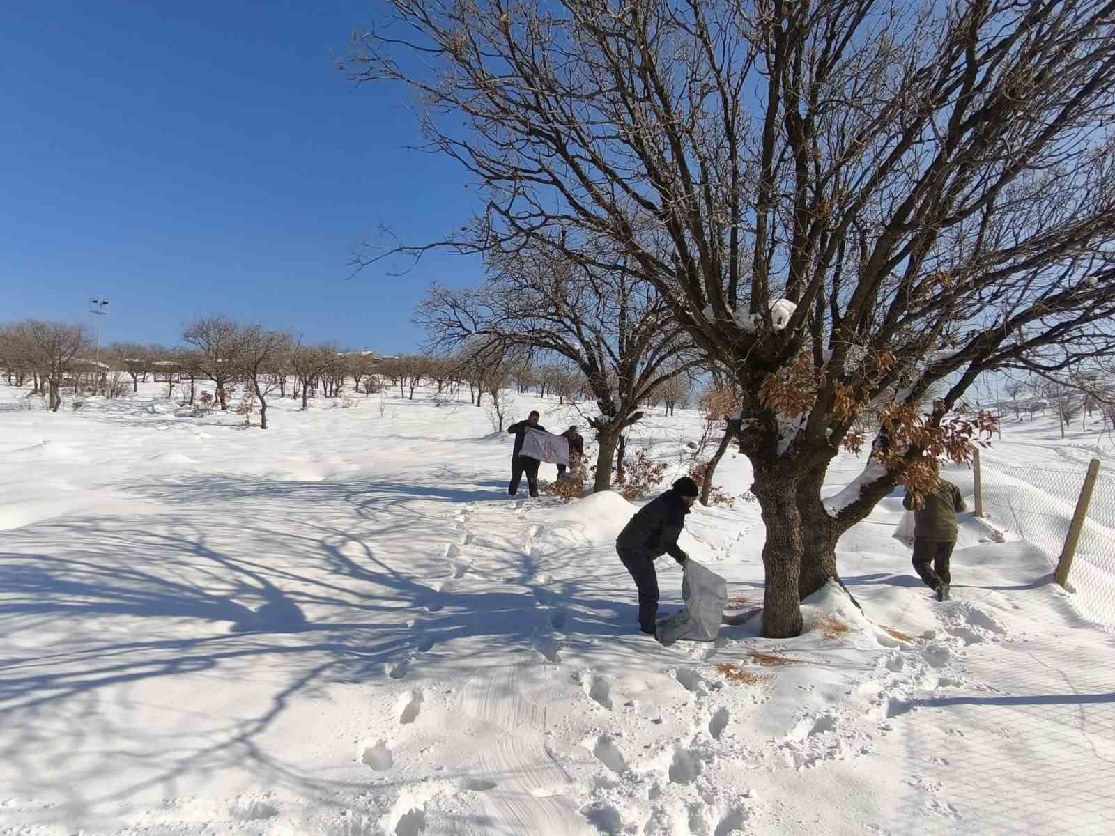 Siirt&rsquo;te yaban hayvanları i&ccedil;in doğaya yem bırakıldı
