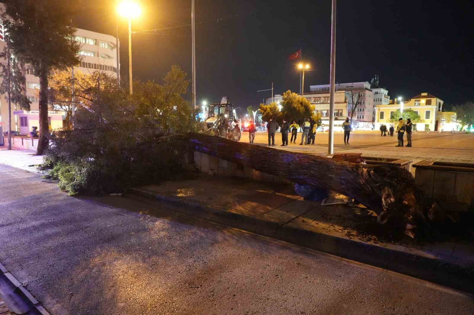 Samsun&rsquo;da fırtına &ccedil;atıları u&ccedil;urdu, ağa&ccedil;ları devirdi
