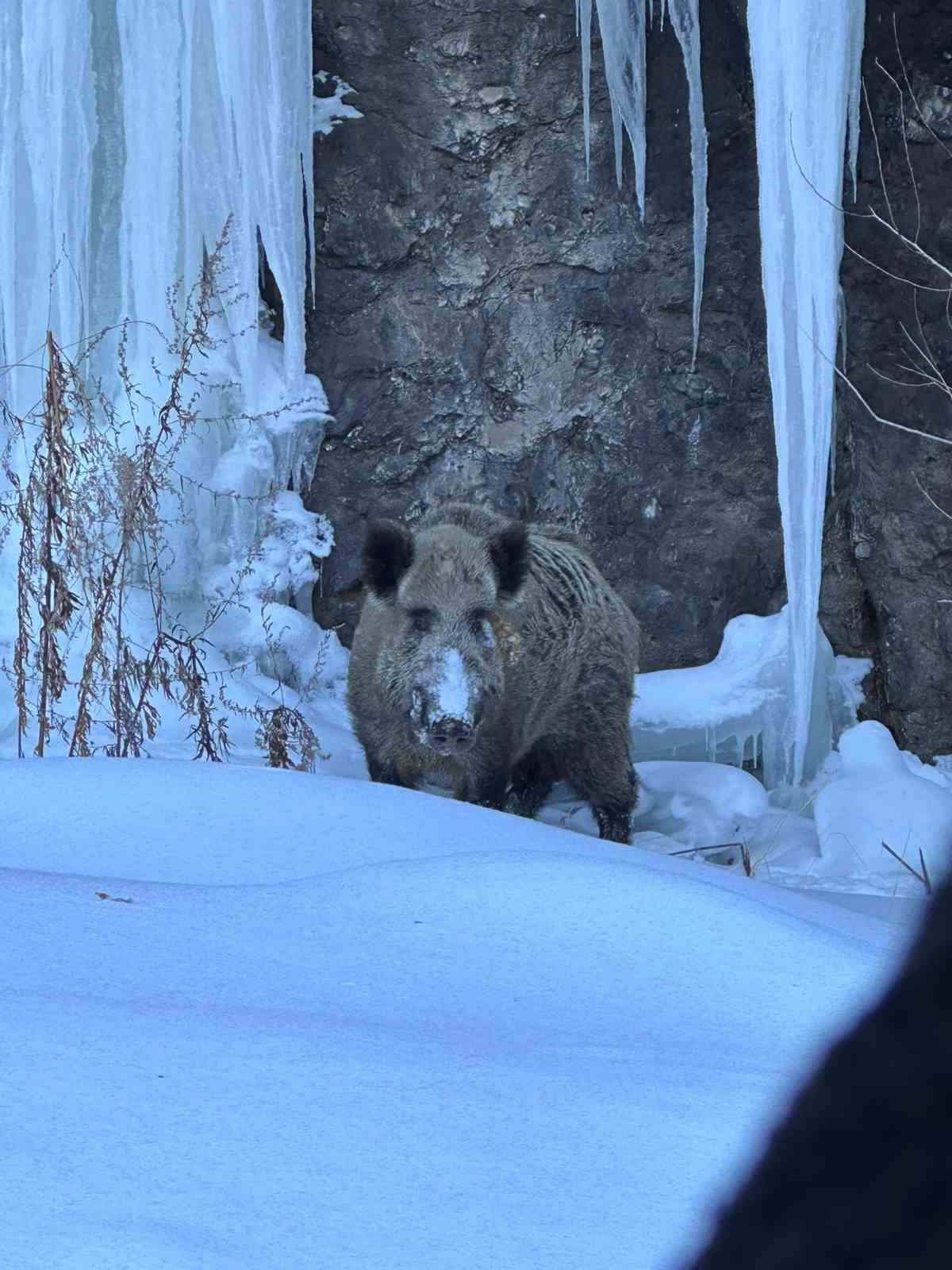 Eleşkirt’te çığ engeli kaldırıldı, 55 köy yolu ulaşıma açıldı