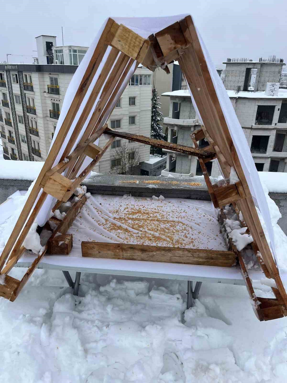 Adıyamanlılar sokak hayvanlarını unutmadı