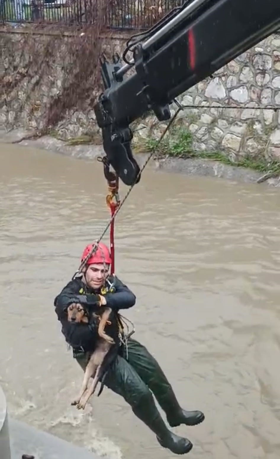 Dereye düşen köpek itfaiye tarafından kurtarıldı