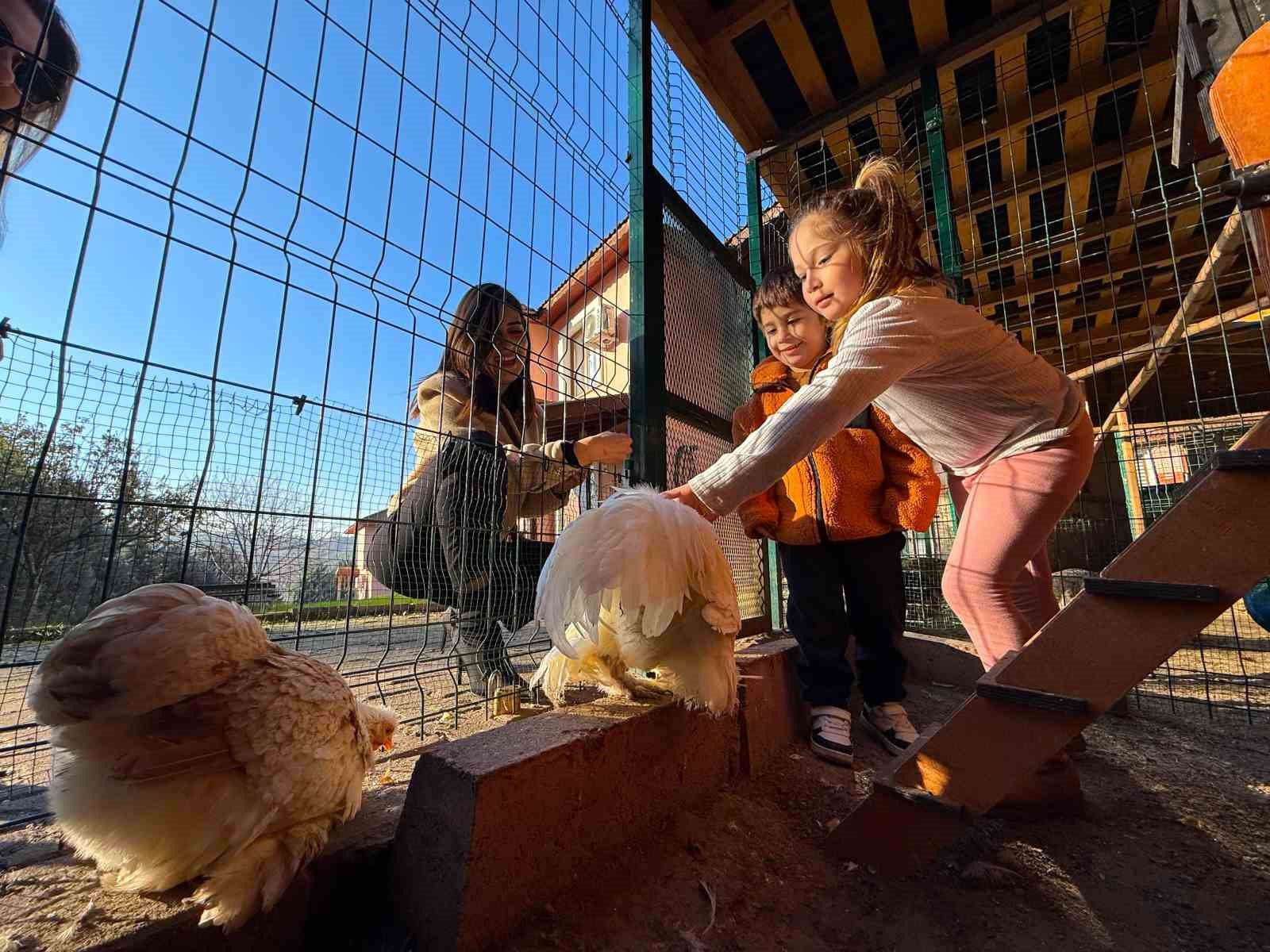 Ke&ccedil;i, &ouml;rdek, tavuk, tavşan: Hepsinin g&ouml;revi "&Ccedil;ok &ouml;zel"
