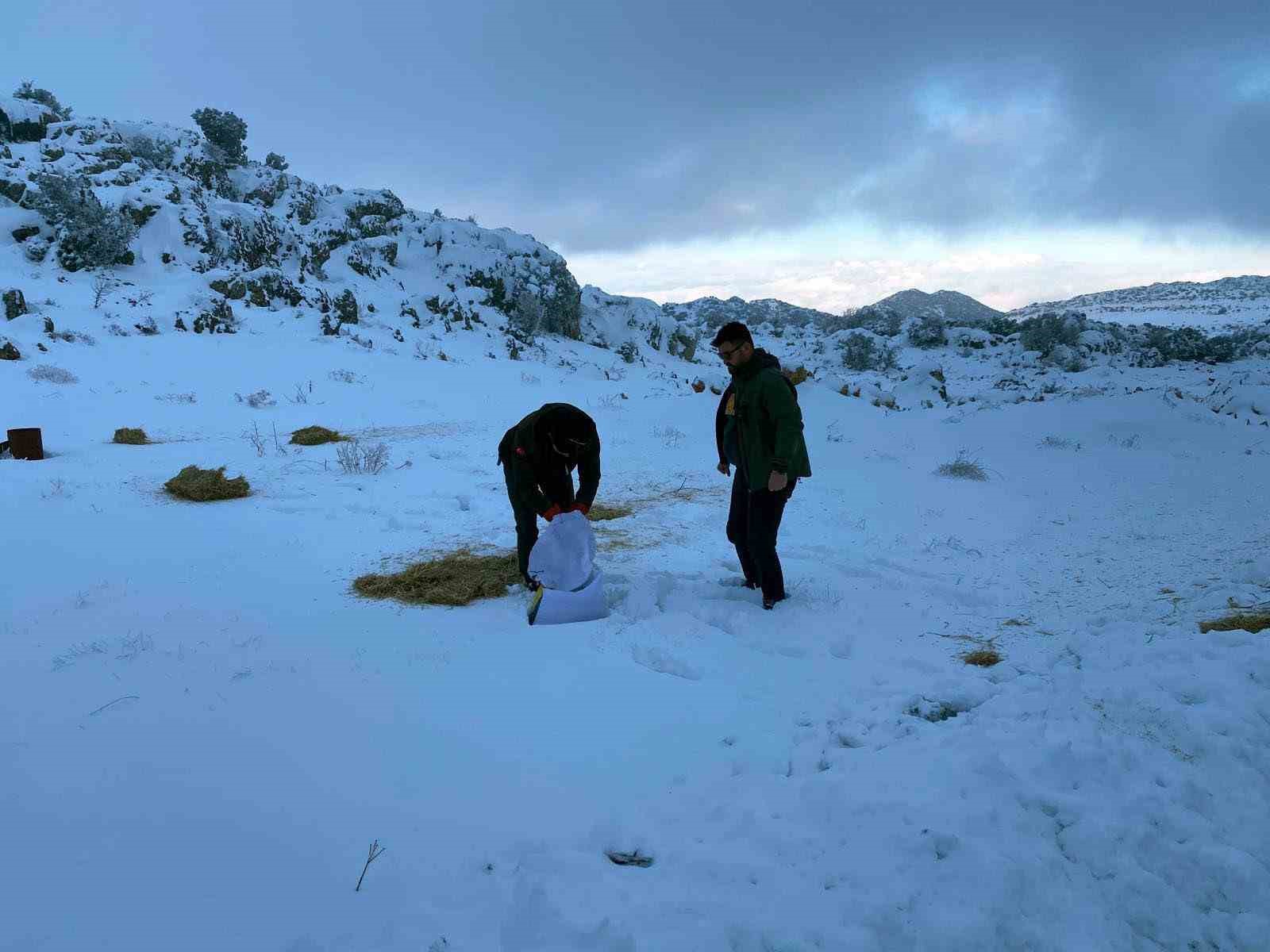 Gaziantep&rsquo;te karlı havada a&ccedil; kalan yaban hayvanları i&ccedil;in doğaya yem bırakıldı
