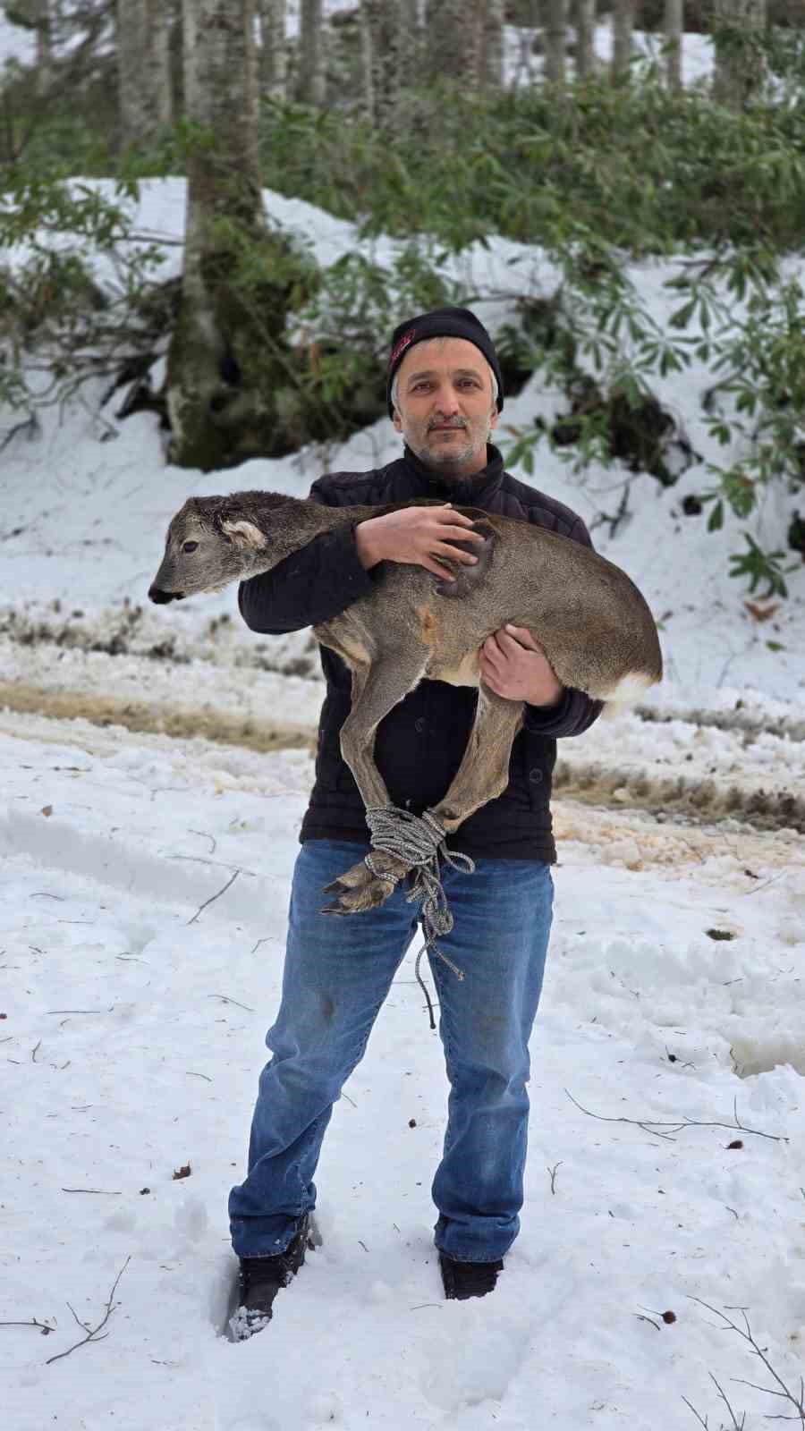 D&uuml;zce&rsquo;de yaralı halde bulunan yavru karaca koruma altına alındı
