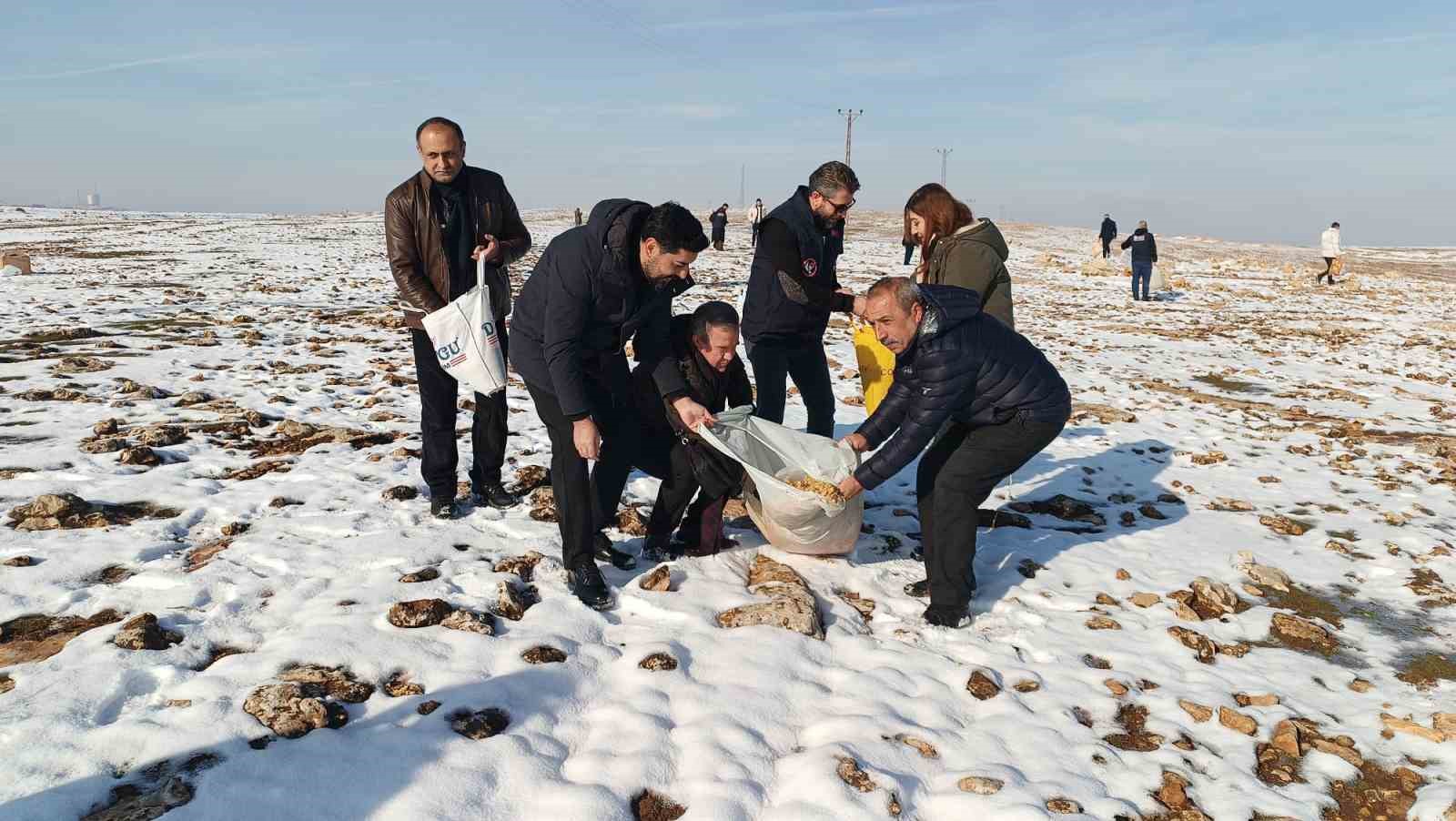 Batman’da yaban hayvanları için doğaya yem bırakıldı