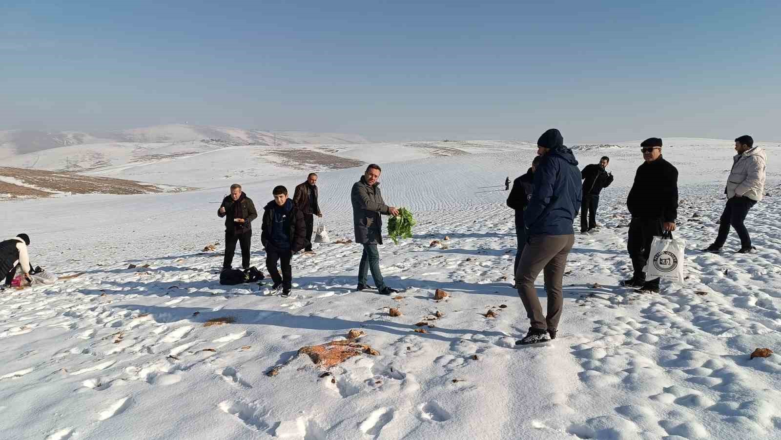 Batman&rsquo;da yaban hayvanları i&ccedil;in doğaya yem bırakıldı
