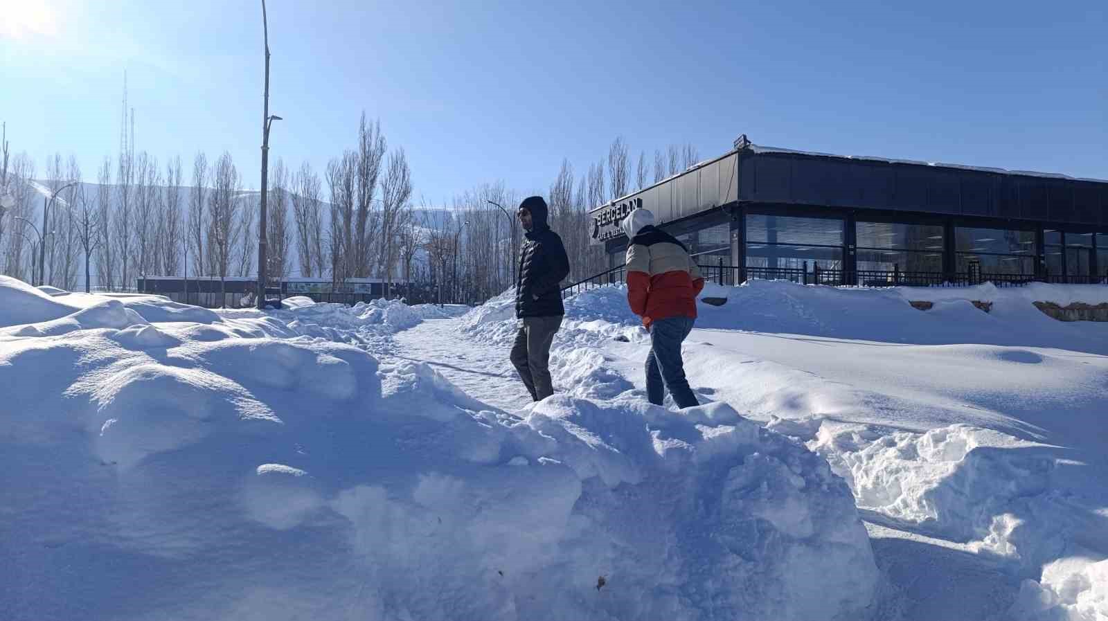 Muradiye Şelalesi buz tuttu
