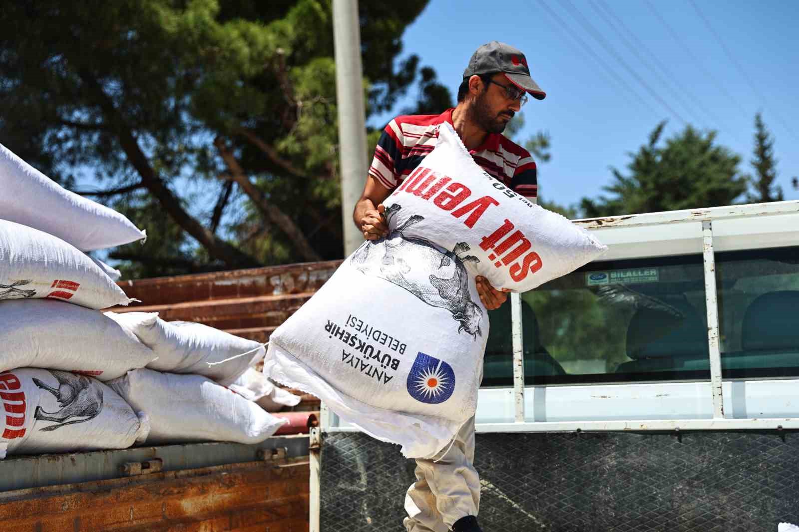 Büyükşehir’den 2025 yılında hayvancılığa 503 bin 625 kg yem desteği