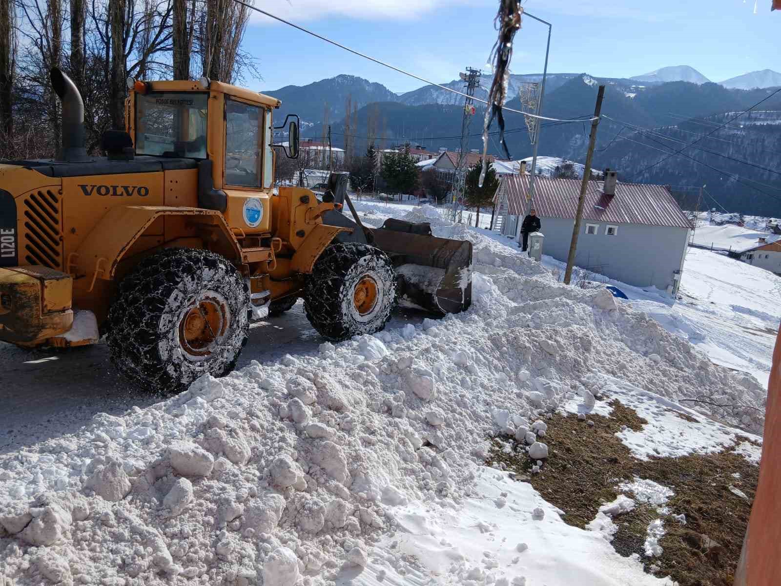 Posof’ta karla mücadele çalışmaları başladı
