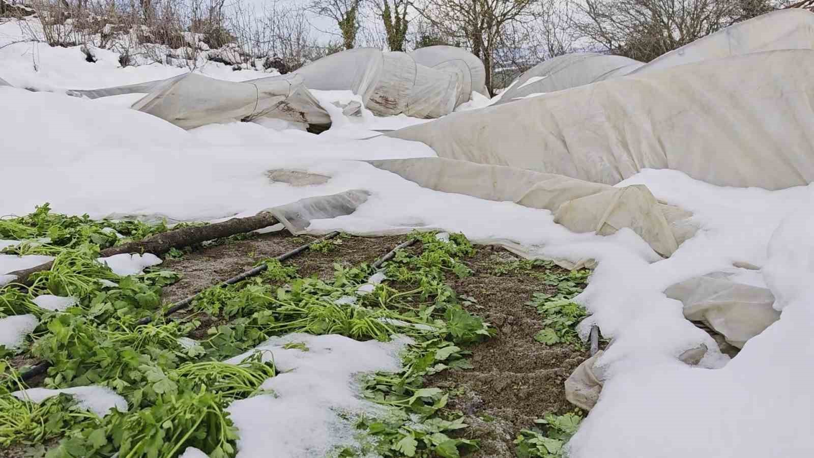Yoğun kar &ccedil;ok sayıda serayı yıktı

