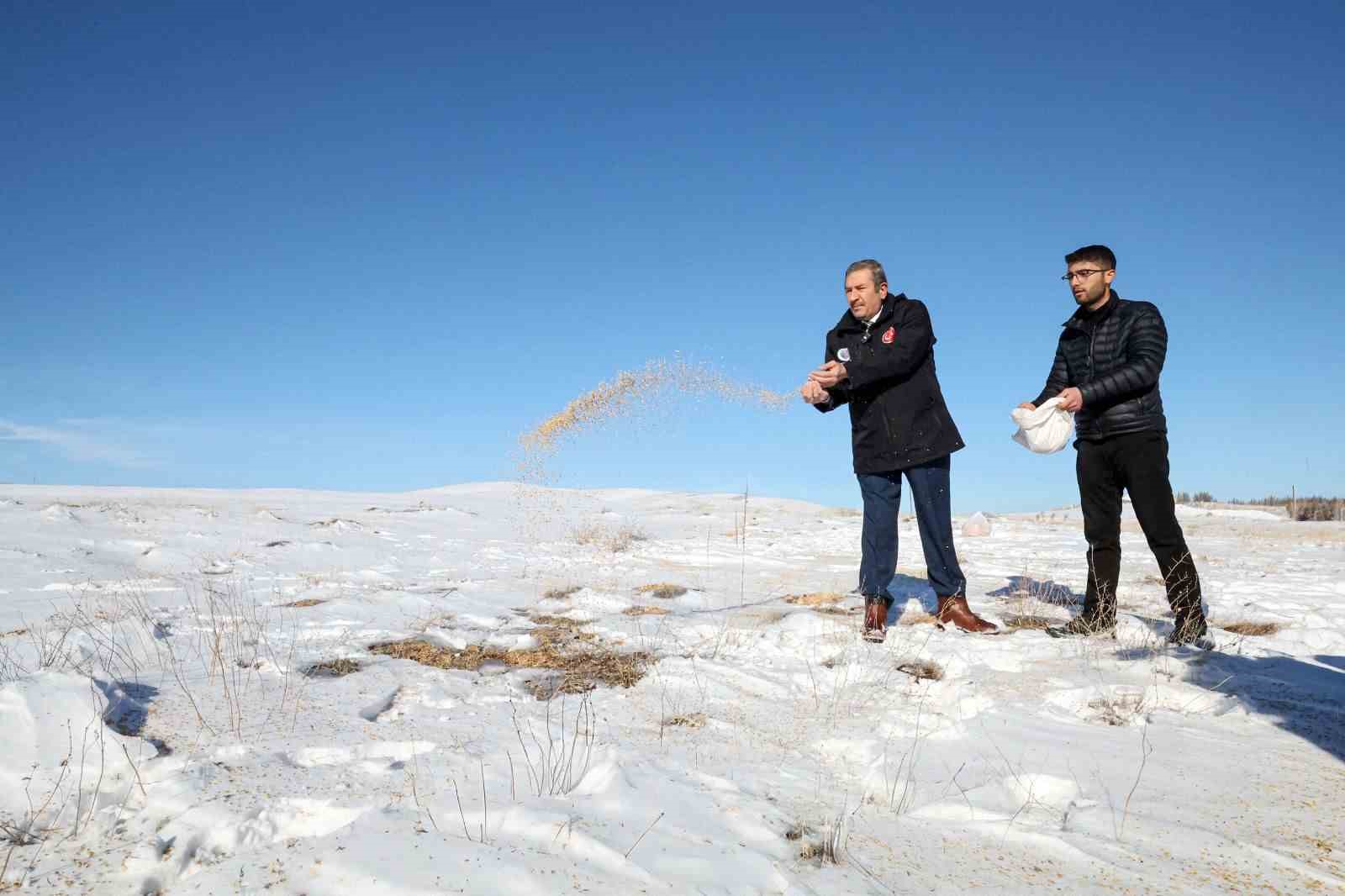 Malatya Darende&rsquo;de yaban hayvanları i&ccedil;in doğaya yem bırakıldı
